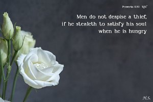 Do not (despise)